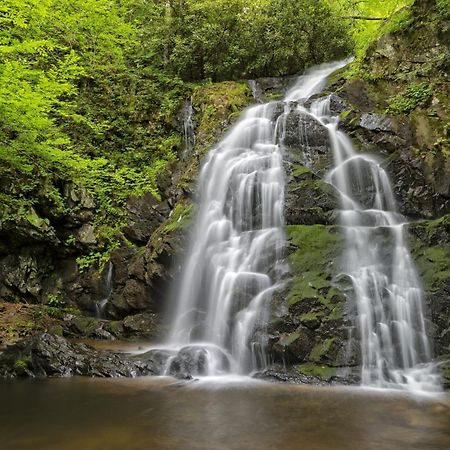 Mountain Eden, Hot Tub, Resort Pool, Wifi, 1089 Free Tickets Each Paid Day, Dollywood And More Gatlinburg Exteriér fotografie