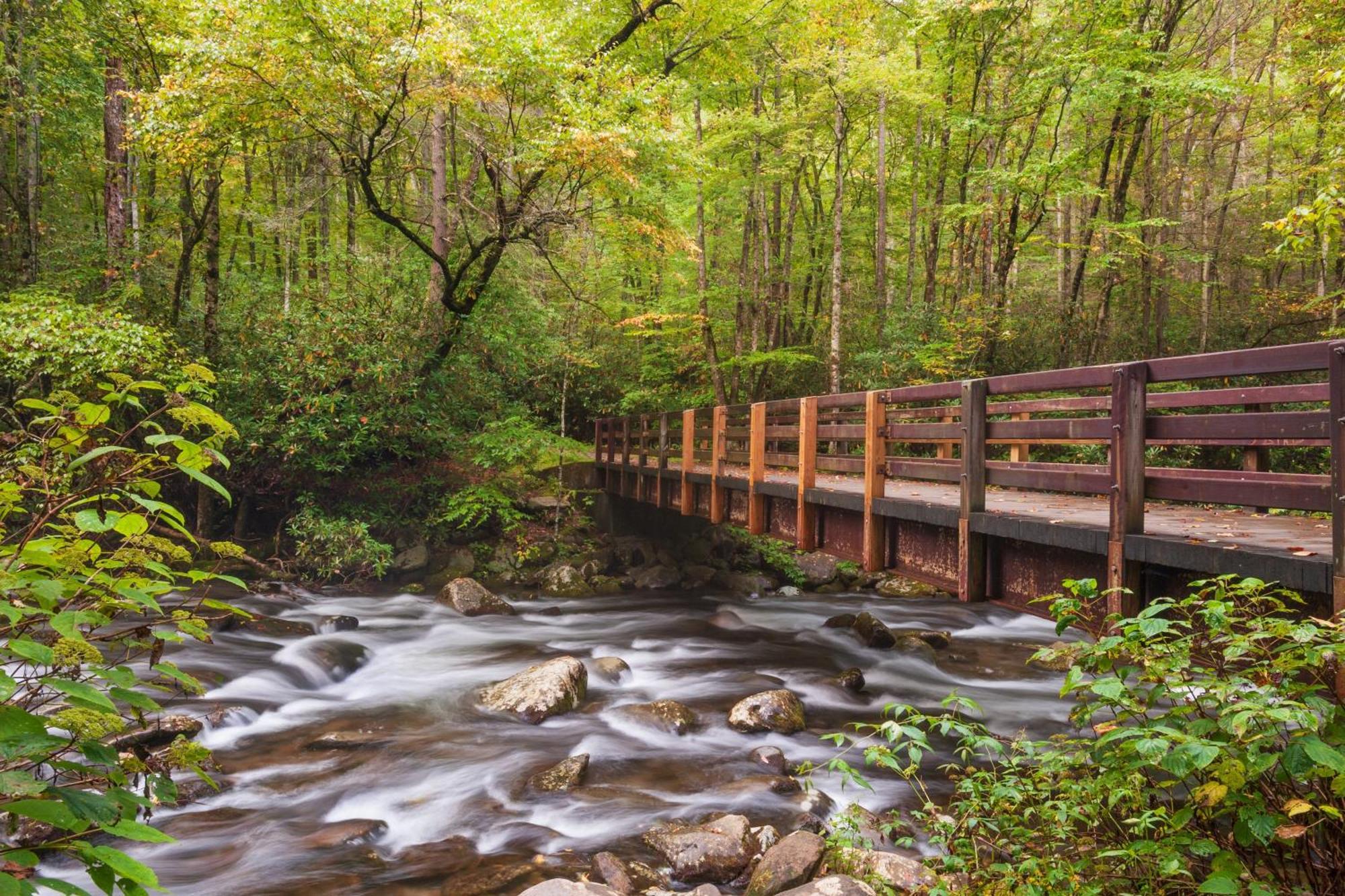 Mountain Eden, Hot Tub, Resort Pool, Wifi, 1089 Free Tickets Each Paid Day, Dollywood And More Gatlinburg Exteriér fotografie