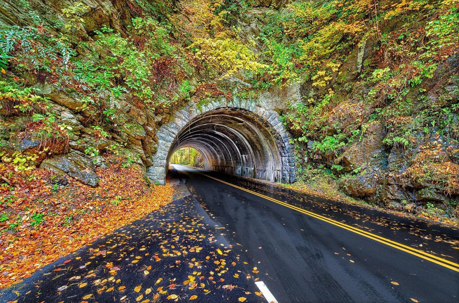 Mountain Eden, Hot Tub, Resort Pool, Wifi, 1089 Free Tickets Each Paid Day, Dollywood And More Gatlinburg Exteriér fotografie